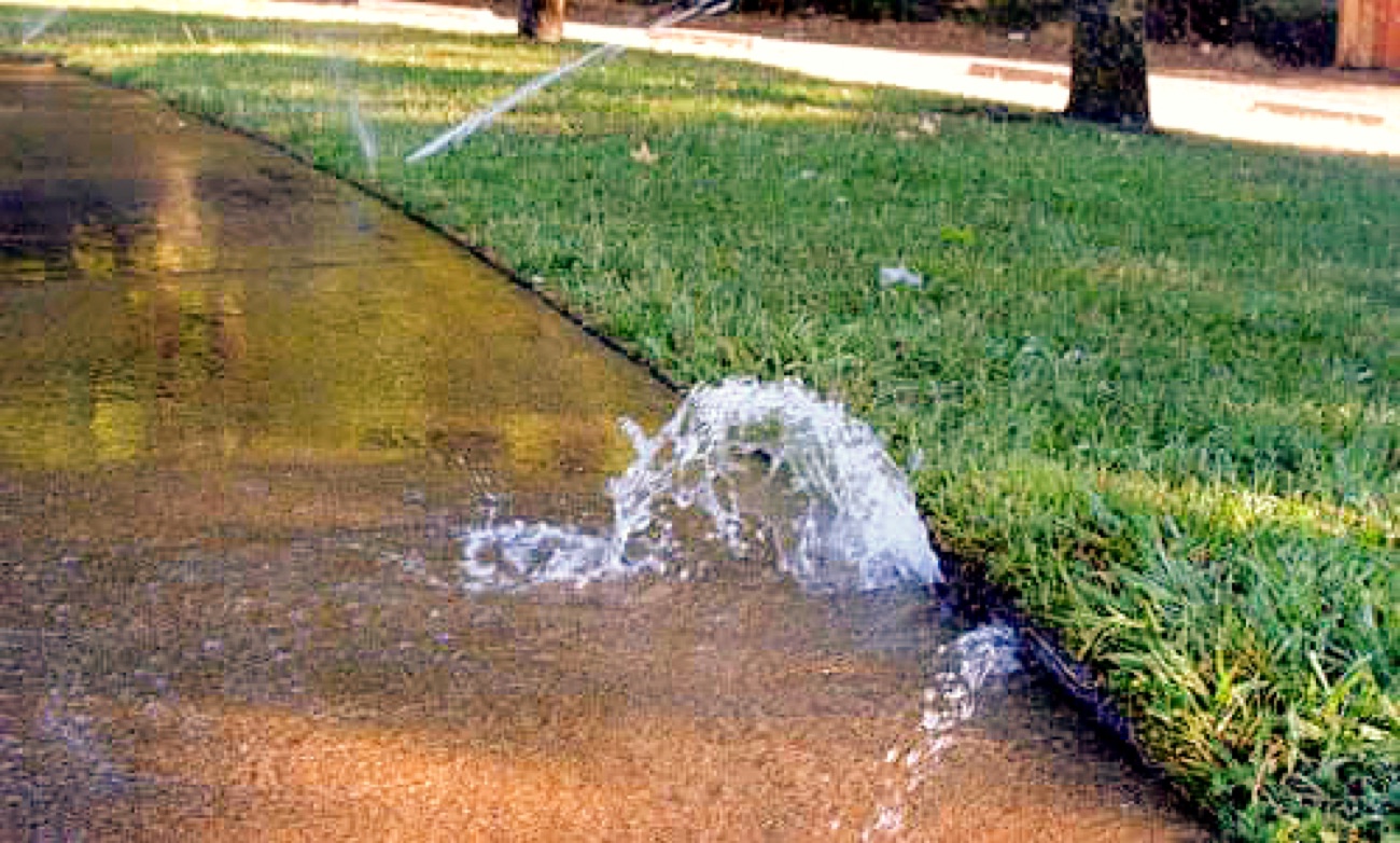 Broken sprinkler head gushing water in a Nocatee yard, 32081
