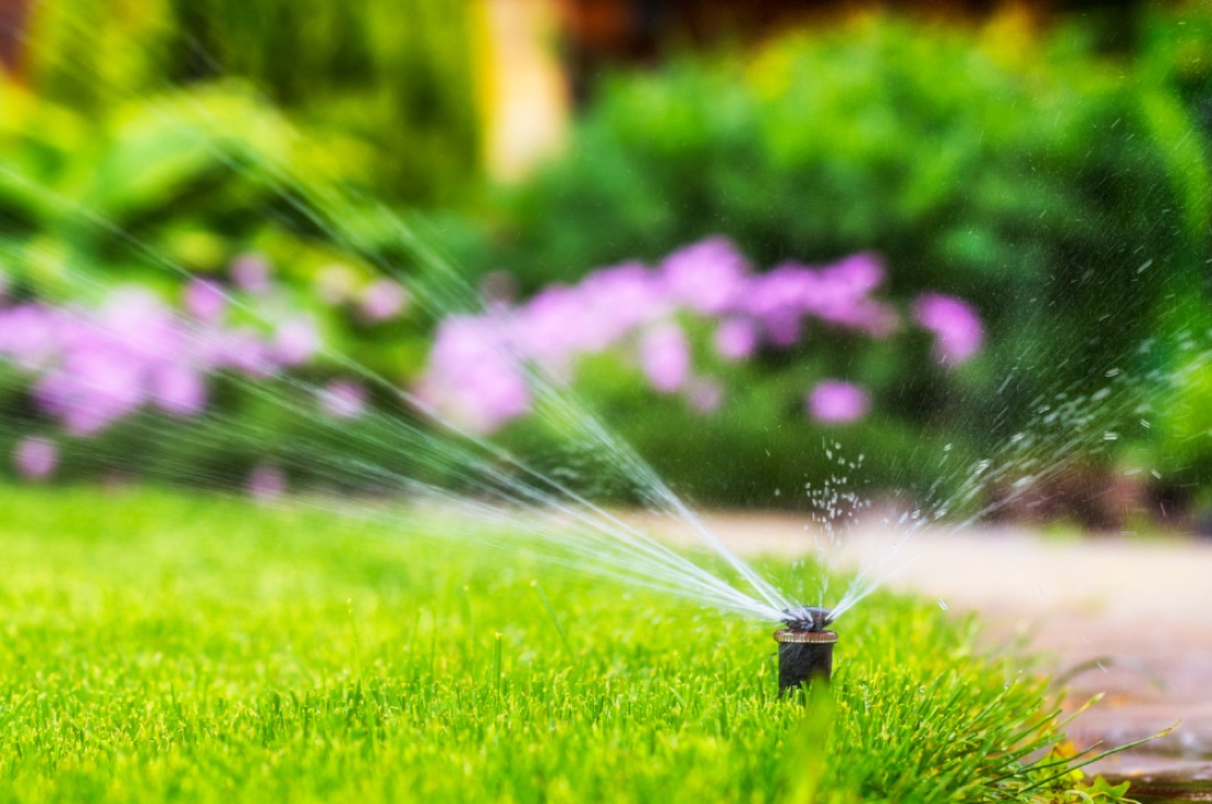 Sprinkler system watering a healthy green lawn in Nocatee
