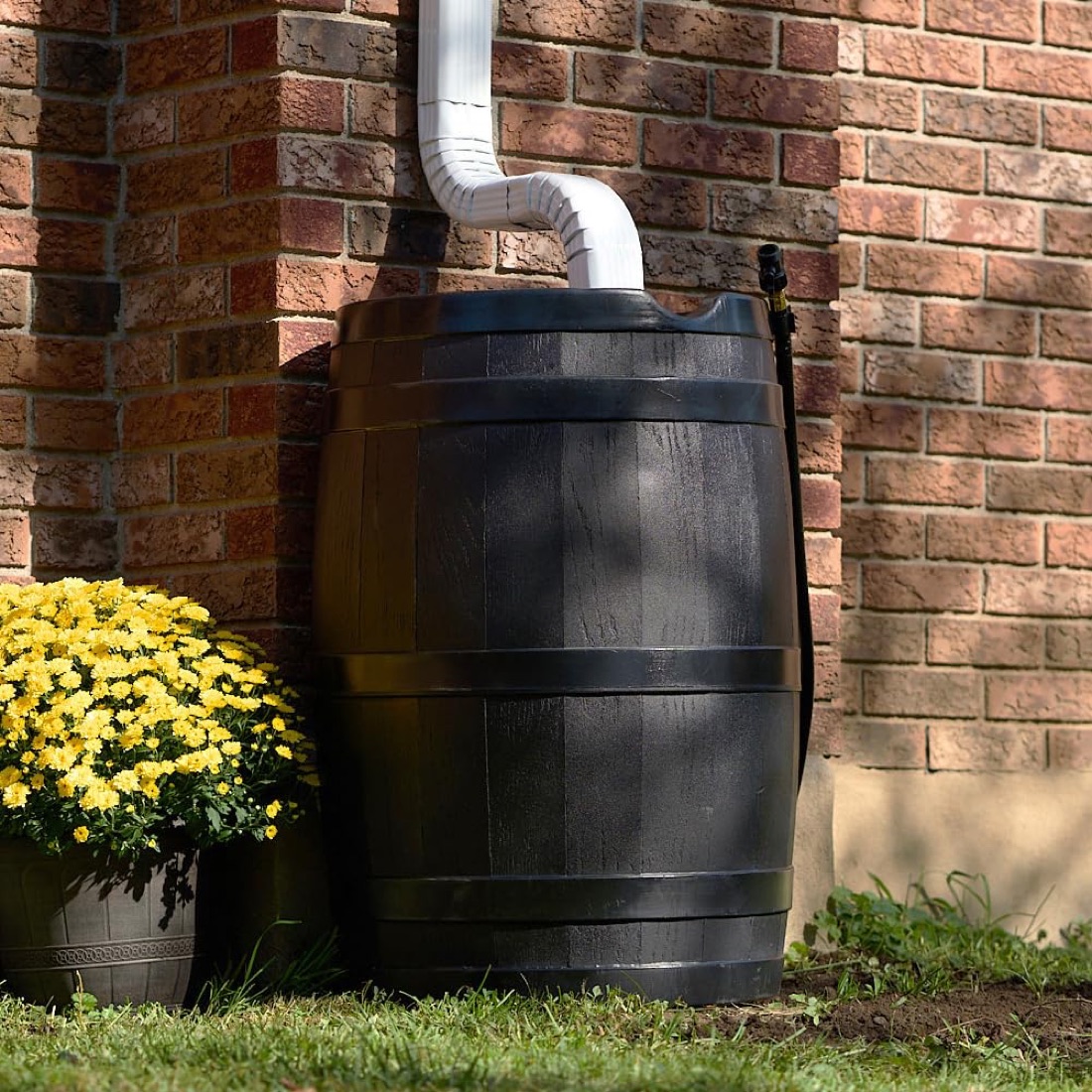 Rain barrel collecting water from a downspout in St. Johns County