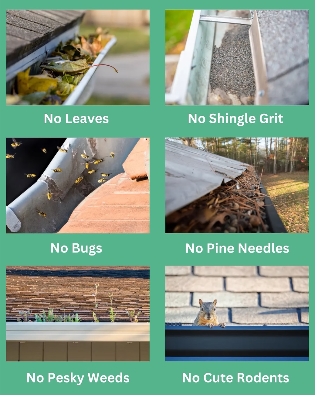 Clean, free-flowing gutter after guard installation