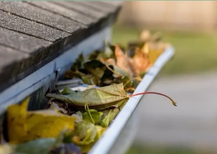 Leaves clogging an unprotected gutter — Aqua Premier stainless-steel gutter guards keep leaves out