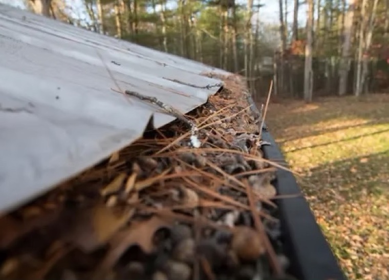 Pine needles packed into a gutter — gutter guards keep pine needles and twigs out