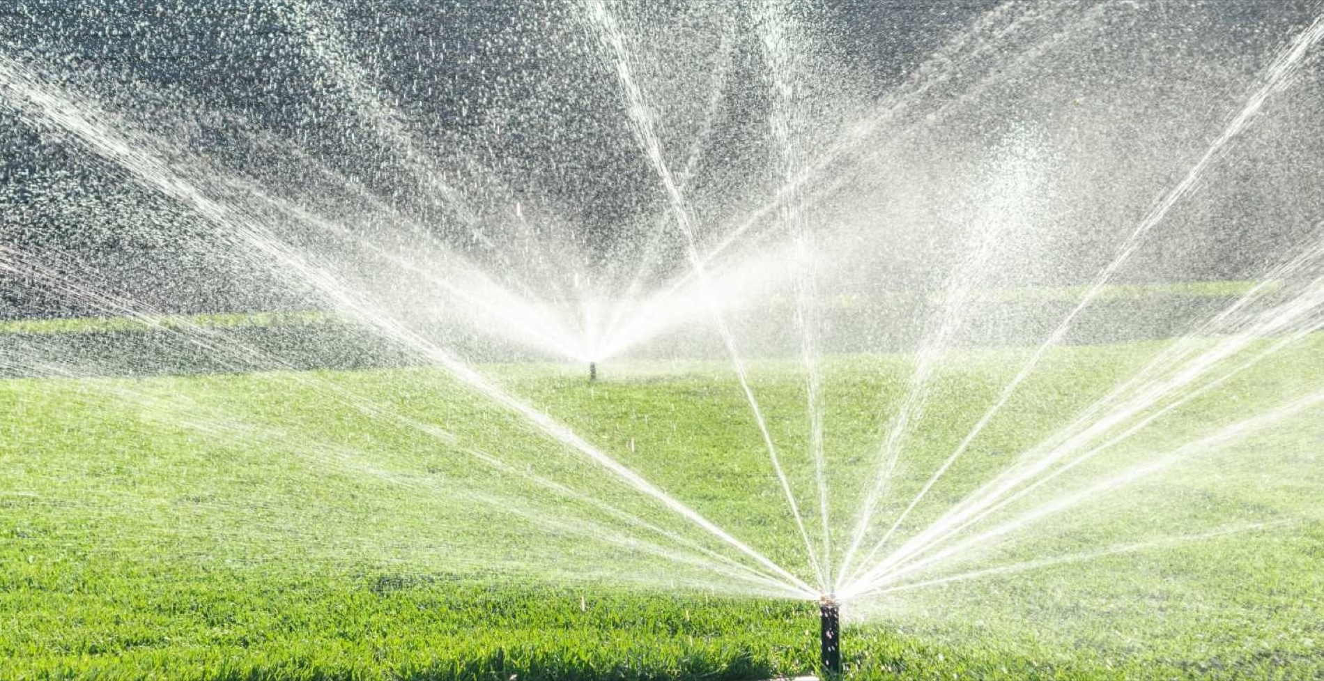 Sprinklers watering a green lawn — sprinkler repair & irrigation service in Ponte Vedra Beach and Nocatee 32081