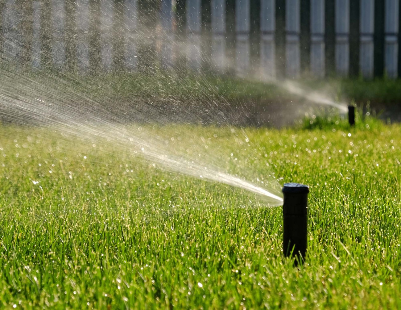 Rotor sprinkler head spraying across a wide St. Johns County lawn