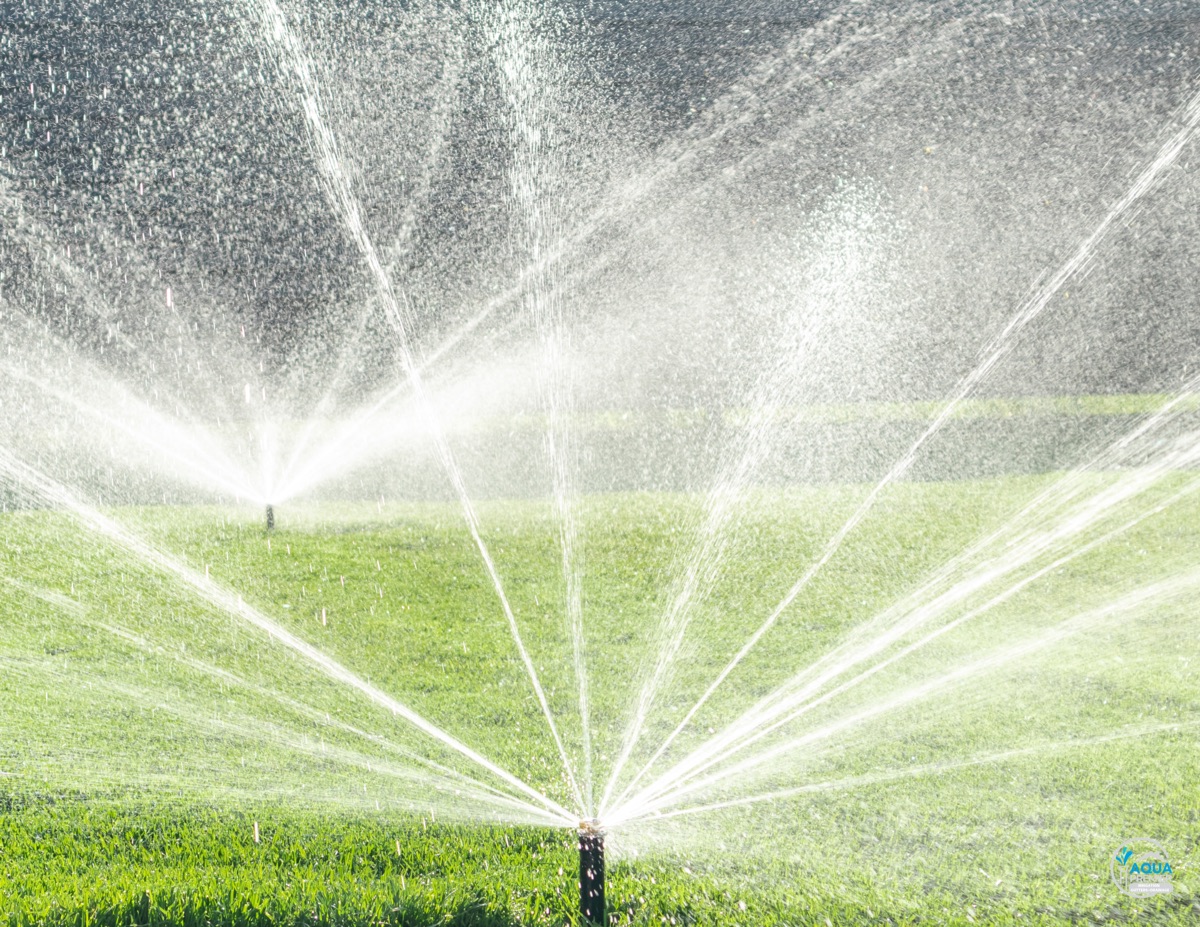 Pop-up sprinkler heads spraying water across a healthy green lawn in Nocatee (32081) — Aqua Premier irrigation system