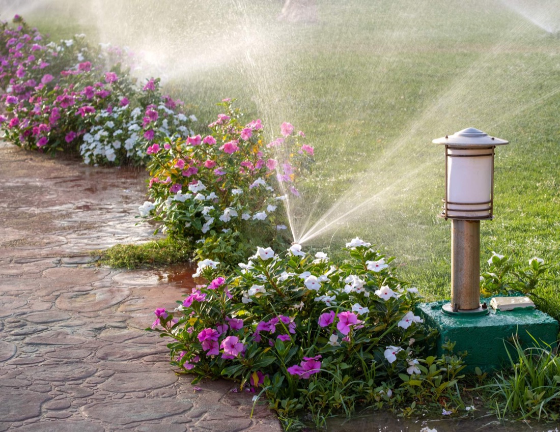 Low-voltage landscape lighting installed in a Ponte Vedra Beach garden